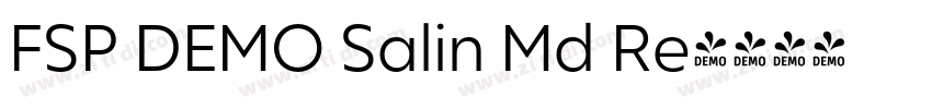 FSP DEMO Salin Md Re字体转换